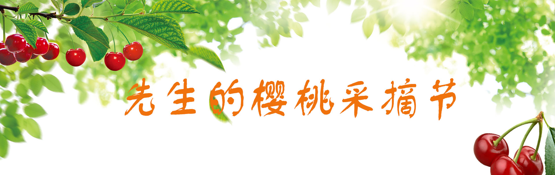 【樱桃采摘节】酸酸甜甜才是初夏的味道