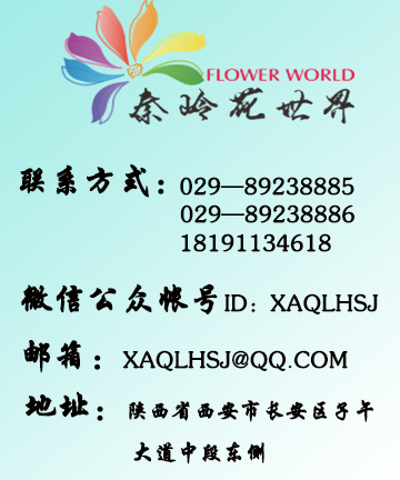 【花卉网推荐企业】西安秦岭花世界
