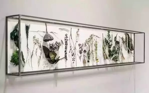 花艺混血小王子