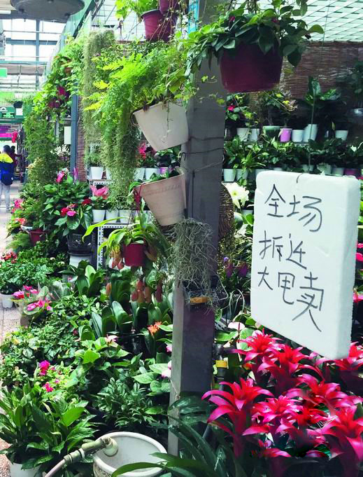 北京玉泉营花卉展销厅拆除在即