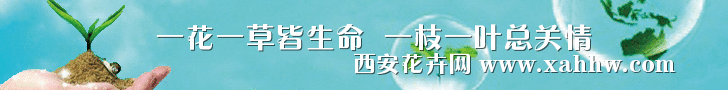 中国在野生动植物保护领域采取举措 获国际社会积极评价