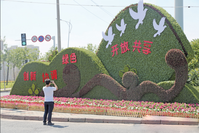 百万盆花卉扮靓乌鲁木齐市经开区（头区）