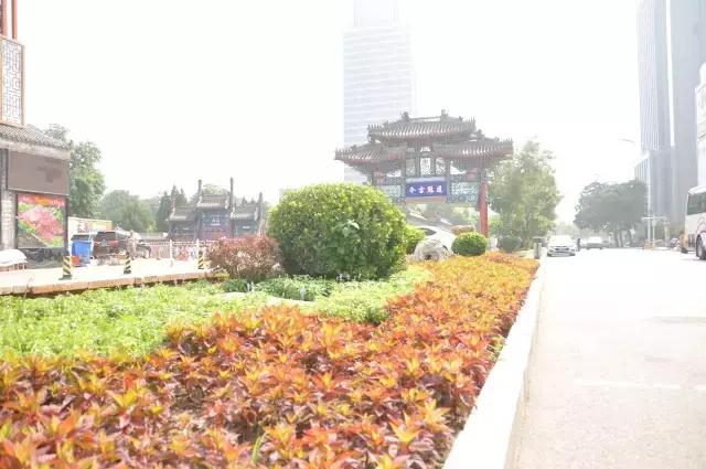 草雕花卉景观营造运动氛围 靓丽多彩南开喜迎全运开幕