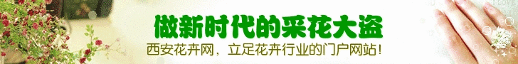耀州区加速苗木花卉基地项目建设