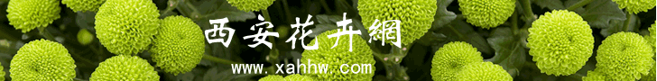 江泽慧：中国已成为世界最大花卉生产基地(西安花卉租摆)