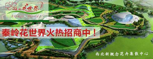 秦岭花世界