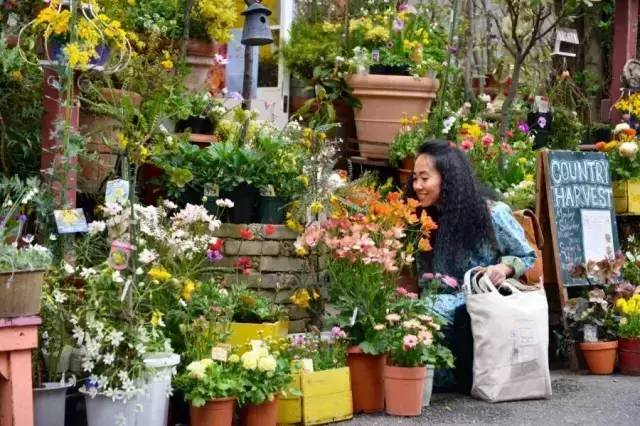 青年旅舍、咖啡馆、民宿她都开过，可她开什么店都像是开花店