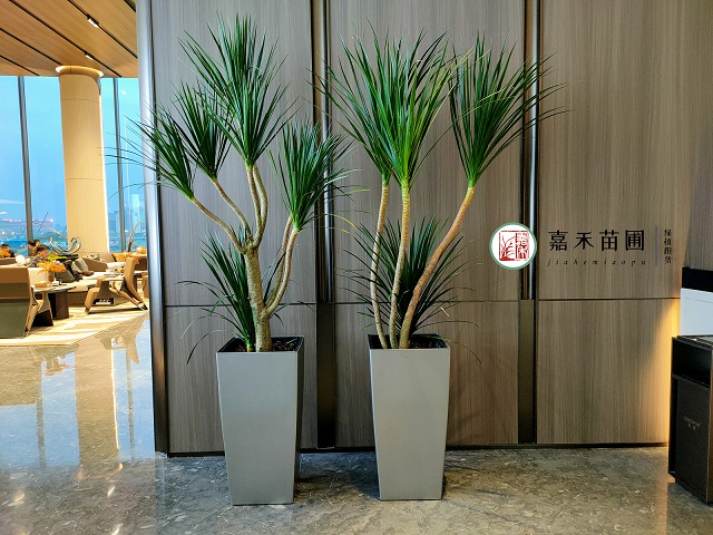 花卉公司测试