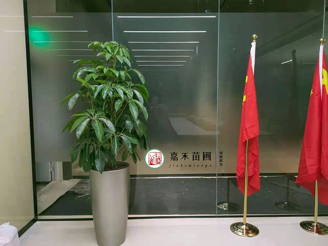 西安长乐园艺花卉博览园