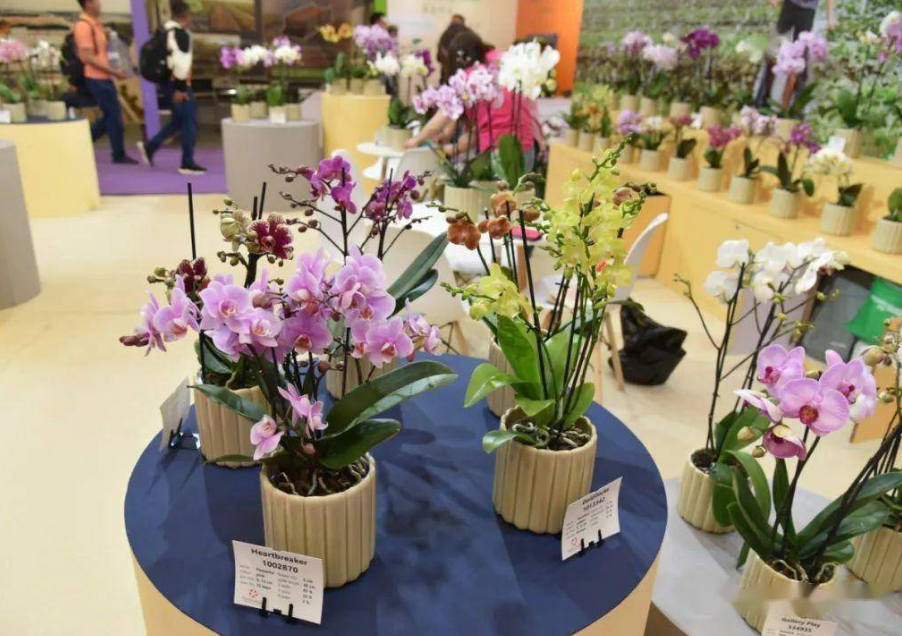 中国国际花卉园艺展览会闭幕 各方共促花卉业高质量发展