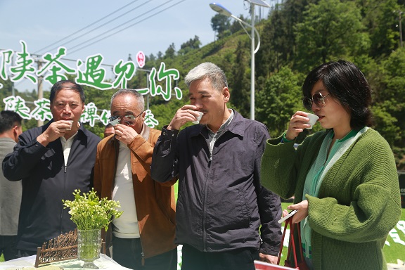 第四届陕西网上茶博会现场