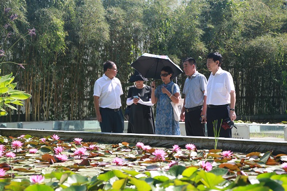 陕西省花卉协会赴西安市沣东新城进行荷花产业发展调研