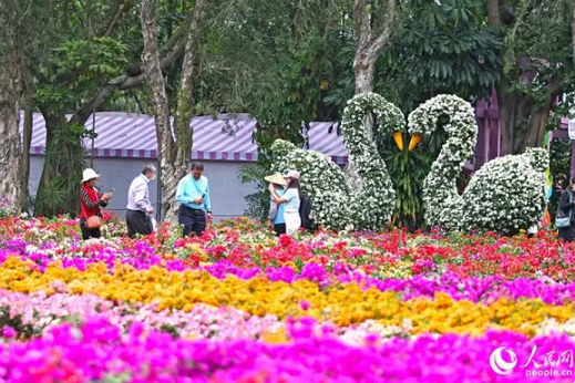 在室外花卉造景区，由三角梅打造的“天鹅”花卉组景吸引人们打卡拍照