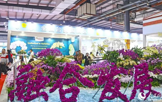 本次花卉展突出对台特色，专门设置全国台创园、台湾精品花卉两个展区，吸引台湾嘉宾客商场参会