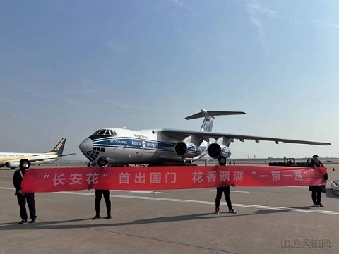 西北民航搭建航空通道助力西安花卉产业出口欧洲