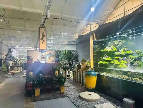 陕西省长安年宵花花卉基地