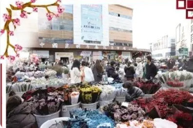 18个小时 一束鲜花的&ldquo;春天之旅&rdquo;