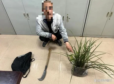 陕西18个新品种获国家植物新品种权