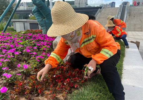 宝鸡市广场管理中心：战酷暑 送清凉 保平安 守一线