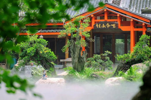苗圃“爆改”火锅店|温州分会场