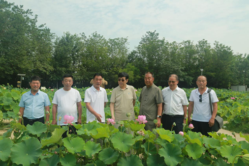 陕西省花卉协会赴沣东荷苑考察调研