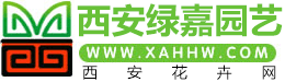 西安花卉网